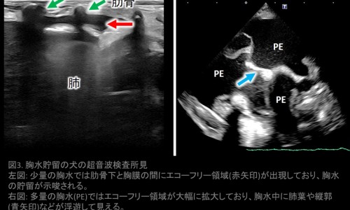孩子心肌炎后气短胸闷大喘气-宝宝叹气心肌炎严重吗专区_宝宝叹气心肌炎的症状专区_宝宝叹气心肌炎网